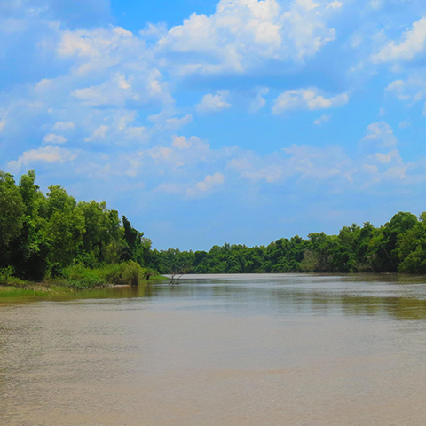 Landscape photo of the Adelaide River in the Northern Territory with trees on both sides.