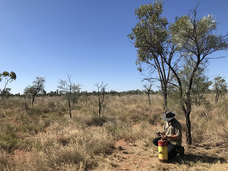 Photograph of Ti Tree Basin landscape with groundwater bore monitoring