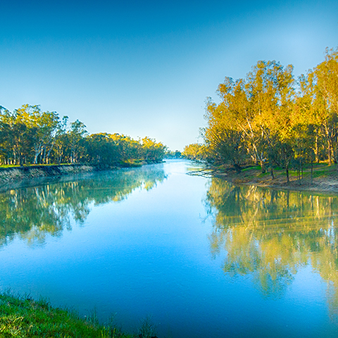 River with trees in the background and grass in the foreground. 