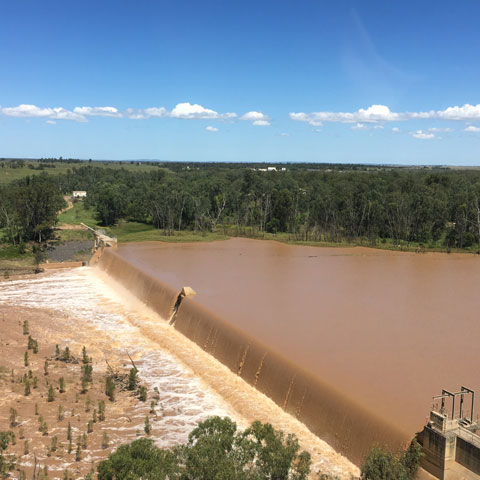 An overflowing weir with green bush in the background.