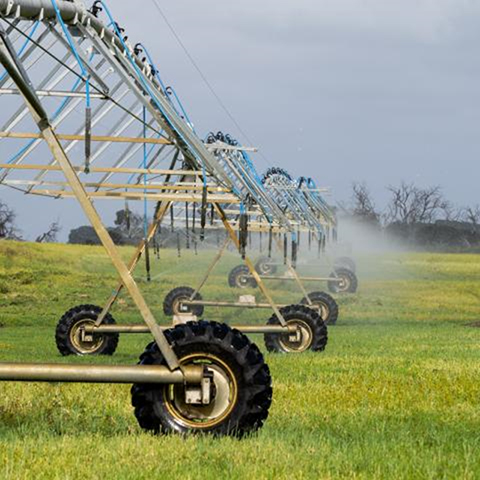 Sprinkler system in a green field with trees in the background and water mist in the air.