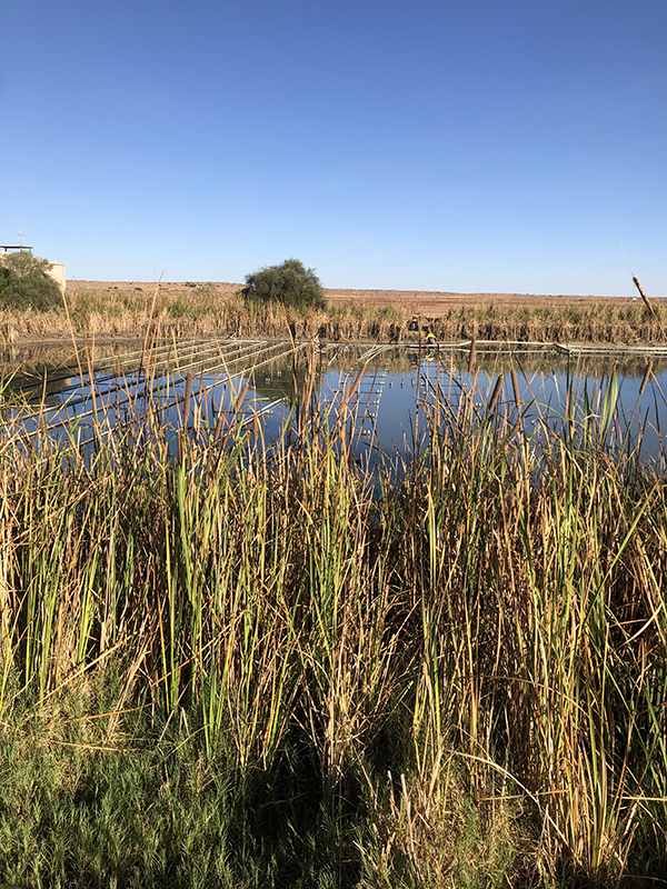 Birdsville Water Security | National Water Grid Authority