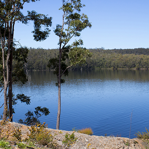 The project would include the construction of a 20 GL capacity Wellington Dam (pictured) desalination plant.