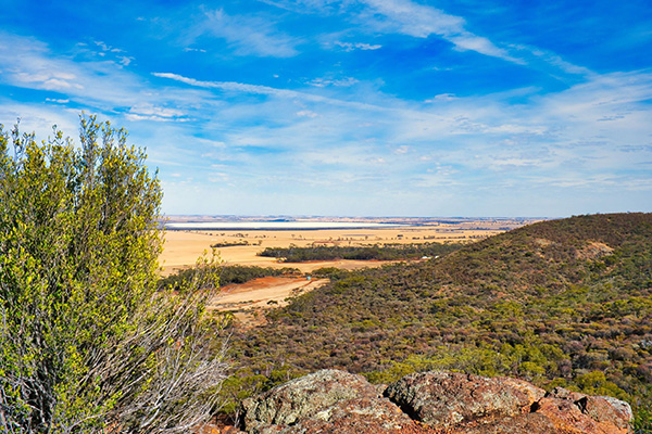 View over forested hills in the wheatbelt of Western Australia.