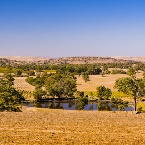 Photo of a dam and fields set against a blue sky.