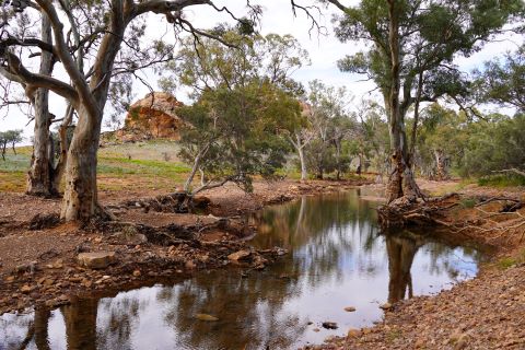 Frome River on Mount Serle, a property owned and managed by the community who manage Iga Warta. Image credit: Simone Stewart, South Australian Department of Environment and Water