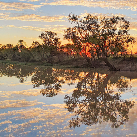 Landscape of the Thompson River in Queensland with trees and sunset in the background.