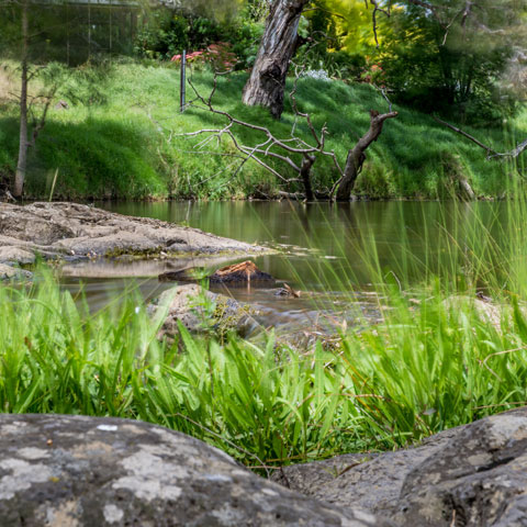 View of rocks, water and trees at Jacksons Creek, Sunbury, Victoria.