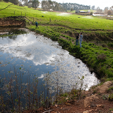 Three people looking into a farm dam with green fields and agricultural buildings in the background.