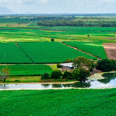 Aerial view of lush green agricultural fields with a stream of water in the middle and blue sky with clouds above.