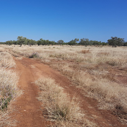 An example of a mini plant compound. A concrete pad surrounded by fencing with a water storage tank, solar panels and shipping container that houses water treatment equipment. There is red dirt surrounding the compound and native trees behind the compound. 