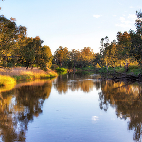 Calm river with trees and shrubs lining the bank, light blue sky.