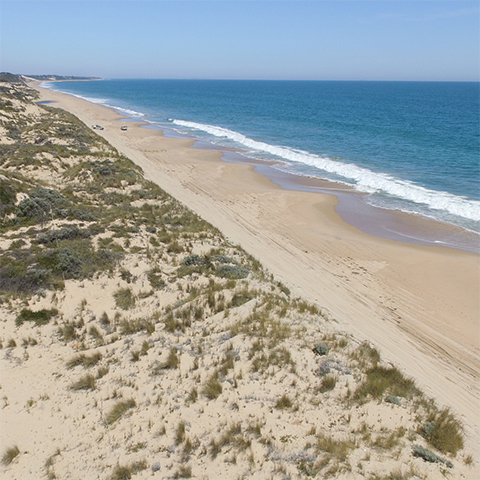 Coastalline in the area of Myalup in Western Australia.