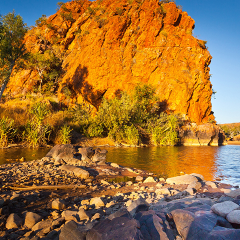 Gorge in the Kimberley region with very large golden rocky outcrop and trees near water..