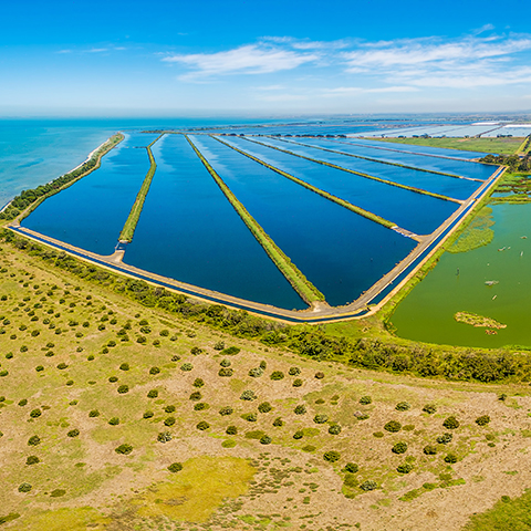 Wastewater catchment area.