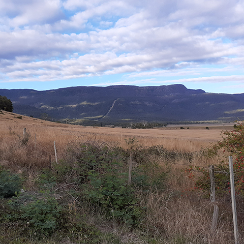 Open scrubland in valley with old fenceposts on a cloudy day.