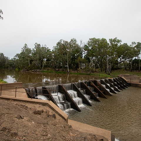 River with a weir across it, trees in the background and dirt in the foreground. 