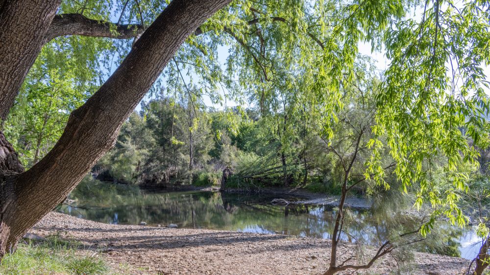 Nearby landscape reflecting on the Peel River, NSW.