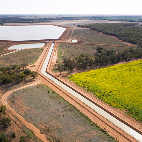 Canola crops and catchment area.