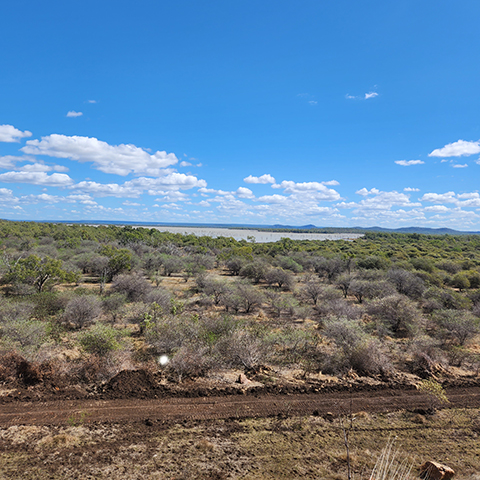 Scrubby bush track in foreground with body of water behind and blue sky with light clouds.