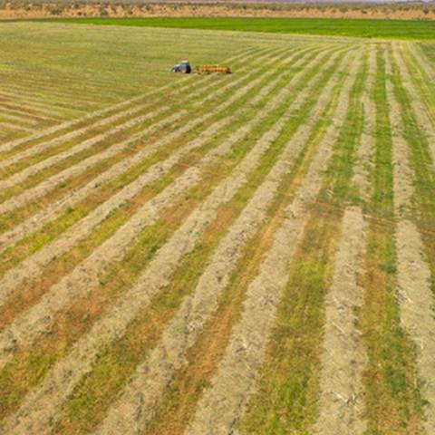 Tractor with farm equipment in a large field.