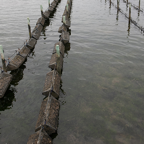 Scientific equipment being used in Georges Bay in Tasmania.