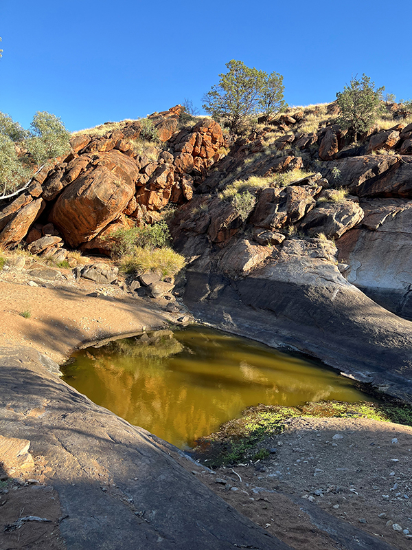 Photograph of a waterhole in APY Lands