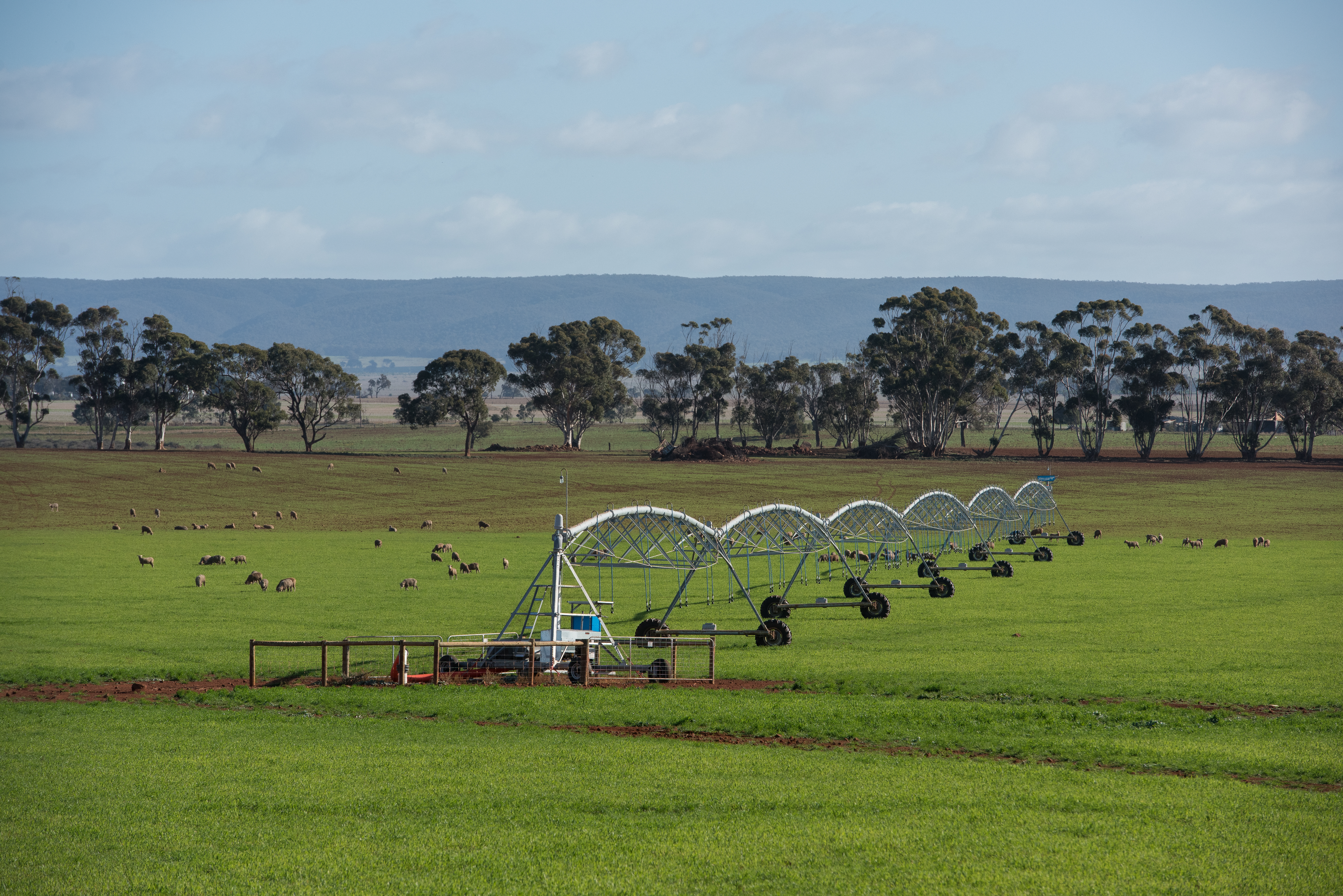 Pivot irrigator at Parwan area of the Western Irrigation Network in Victoria