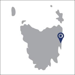 Bicheno, Tasmania map.